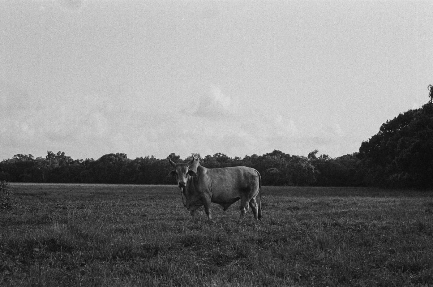 Photograph by Owen Correll